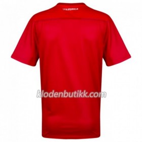 Peru Borte Fotballdrakt Copa América 2019 Kortermet